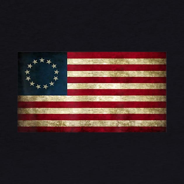 4th of July Patriotic Betsy Ross battle flag by Haley Tokey